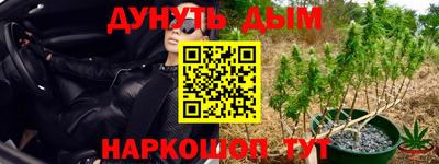 сатива Бугуруслан