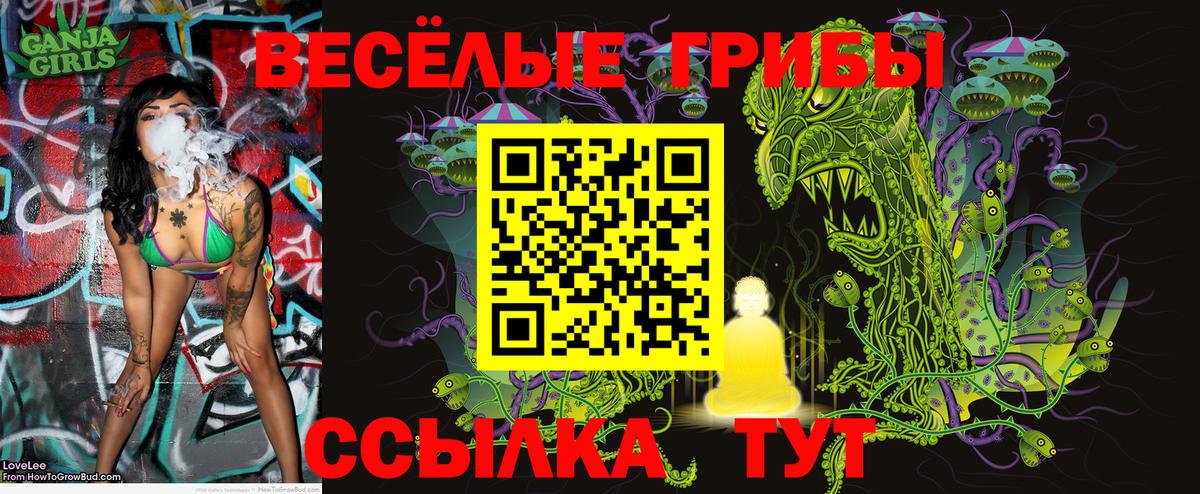 Советск  Псилоцибиновые грибы мухоморы  Вход с VPN 